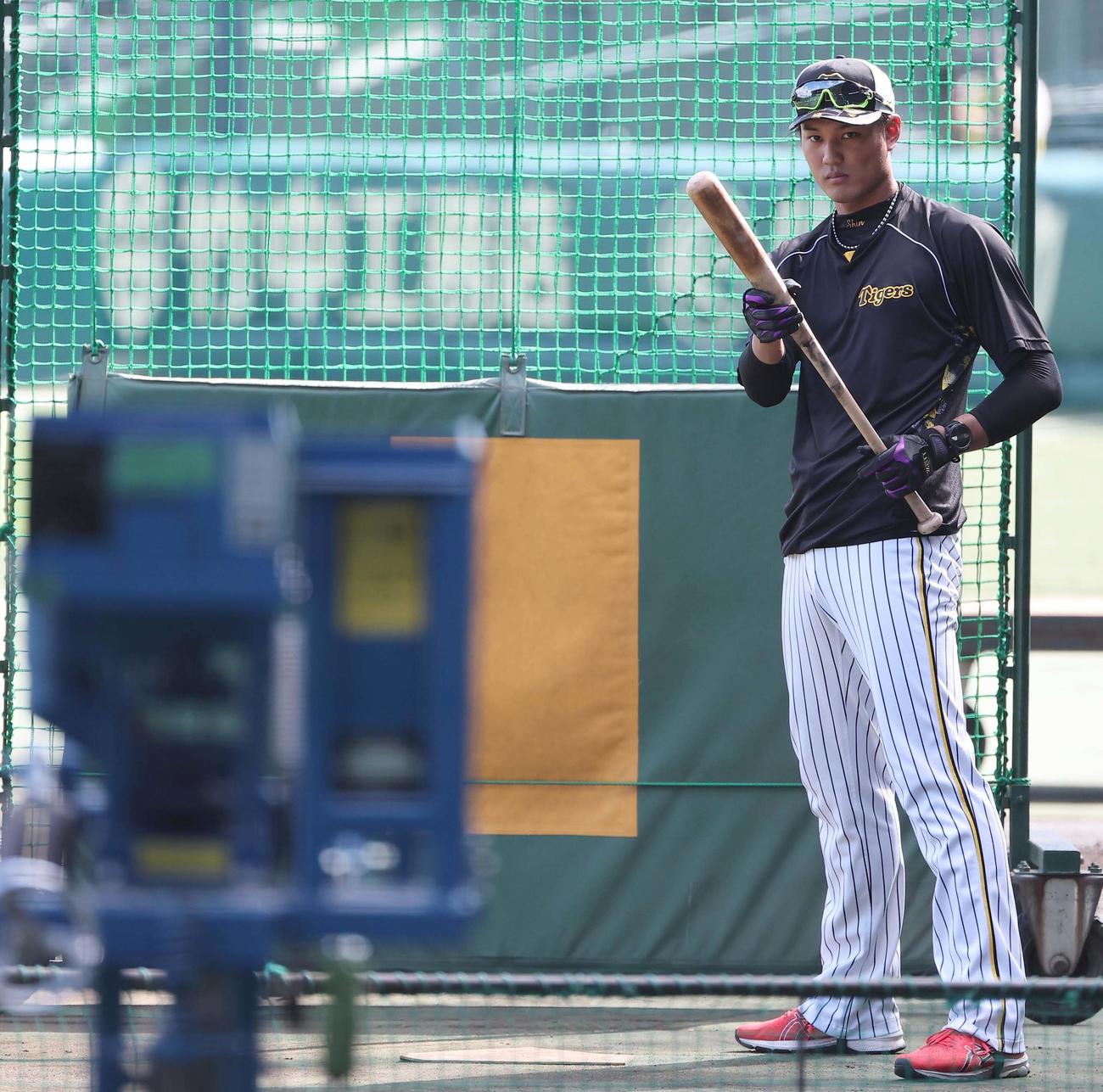 阪神対巨人　真剣な表情でバント練習をする藤浪（撮影・上田博志）