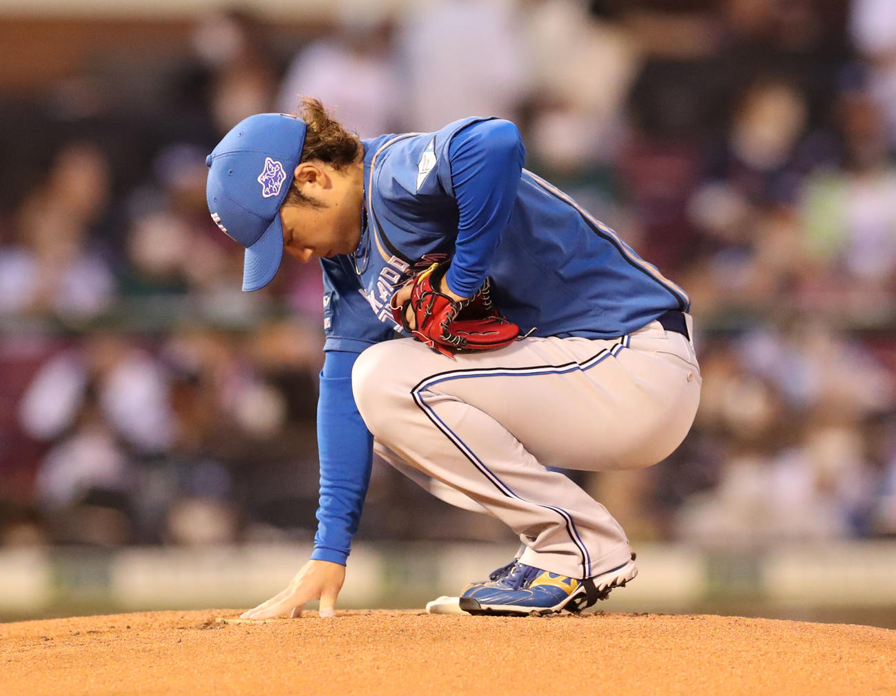 楽天対日本ハム　投球前、マウンドに手を当てる伊藤（撮影・佐藤翔太）