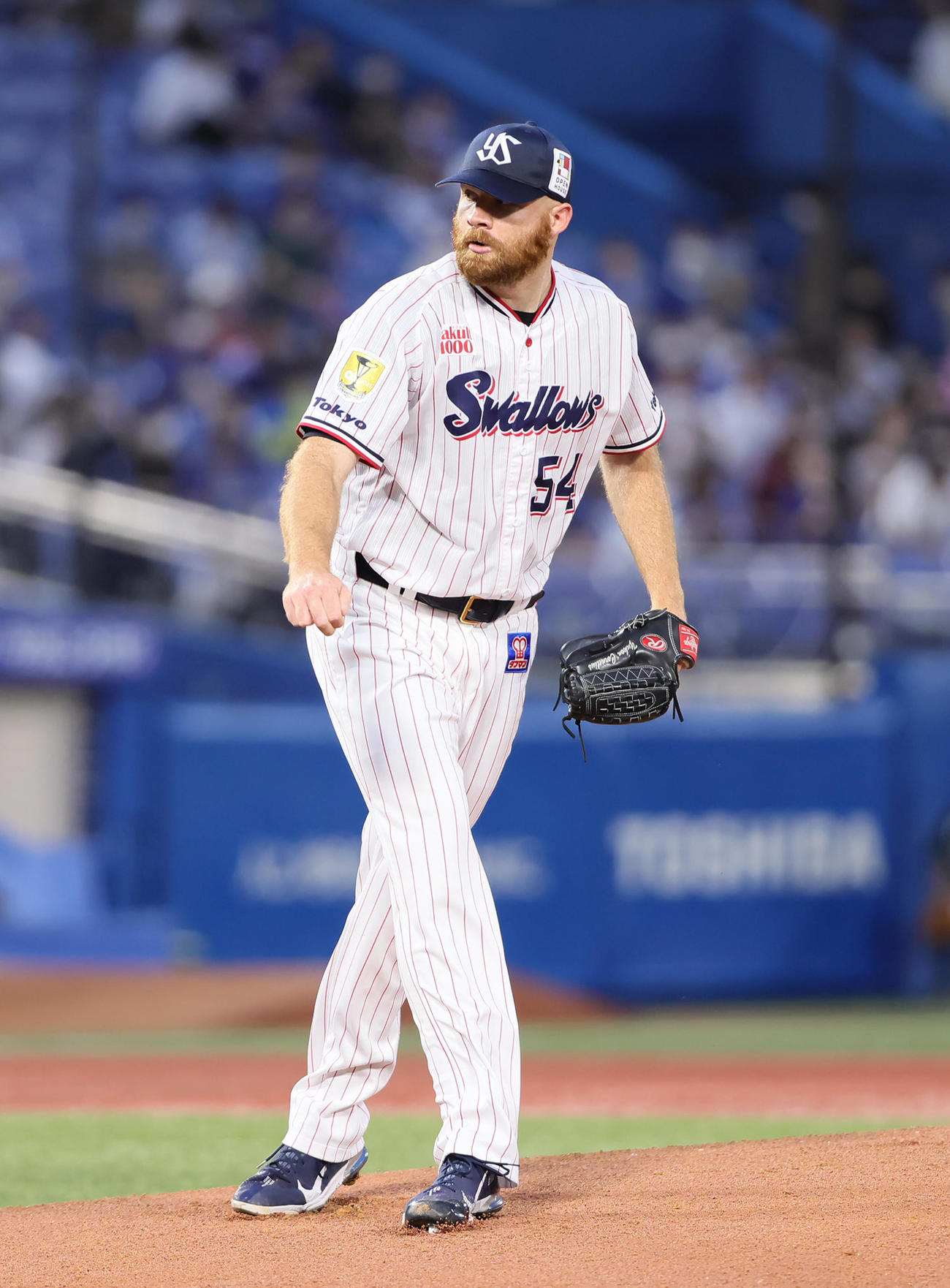 ヤクルト対中日　力投するヤクルト先発のサイスニード（撮影・足立雅史）