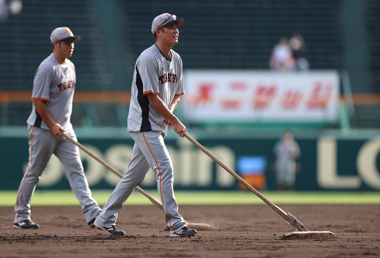 阪神対巨人　試合前、ノック後にグラウンド整備する坂本（右）と北村（撮影・狩俣裕三）