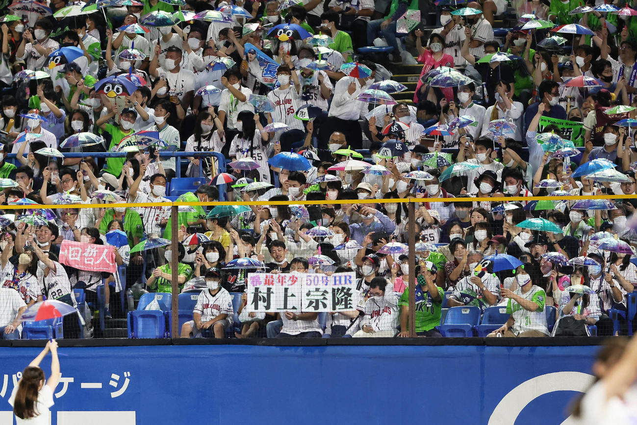ヤクルト対中日　ヤクルト村上のシーズン50号本塁打を祝福するファン（撮影・足立雅史）