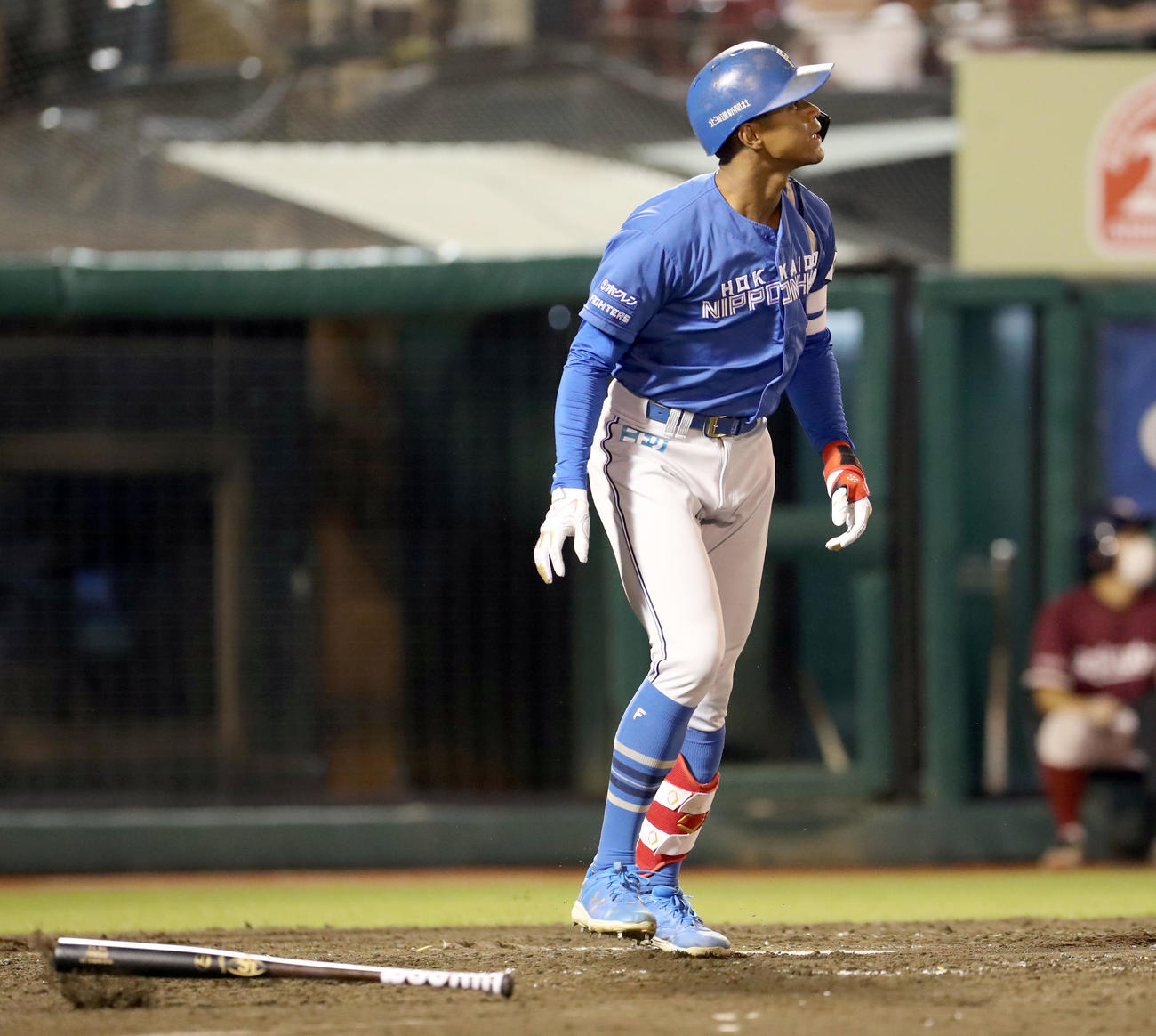 楽天対日本ハム　5回表日本ハム1死、万波は勝ち越しとなる左越え本塁打を放つ（撮影・佐藤翔太）