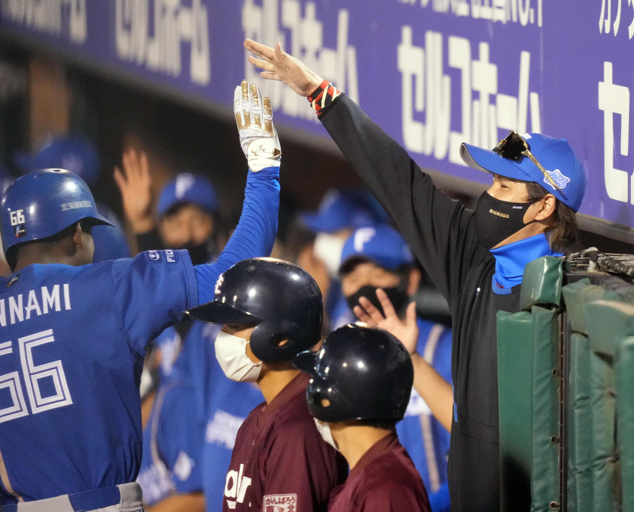 楽天対日本ハム　5回表日本ハム1死、左越えソロ本塁打を放った万波（左）を迎える新庄監督（撮影・鈴木みどり）