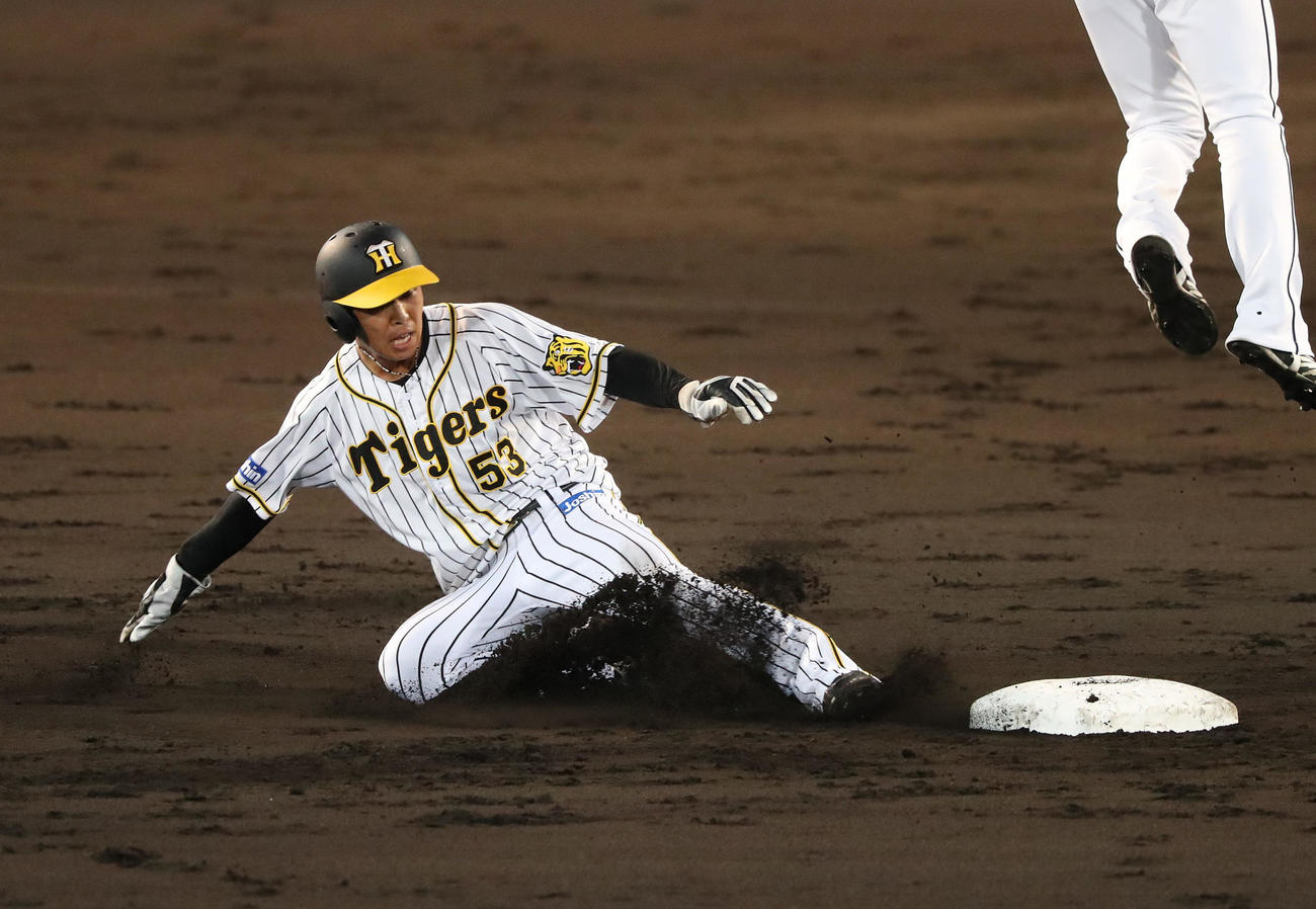 阪神島田海吏（2021年8月1日撮影）