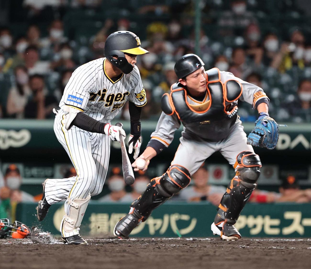 阪神対巨人　12回裏阪神無死一塁、島田（左）は送りバントを失敗する（撮影・上田博志）