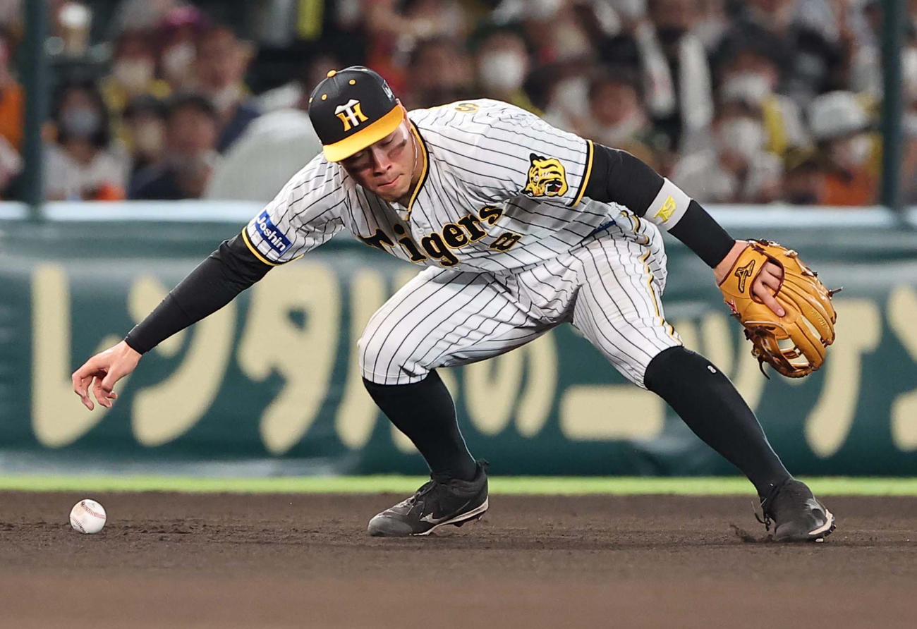 阪神対巨人　5回表巨人無死一塁、中田の打球をつかみ損ねる佐藤輝（撮影・上田博志）
