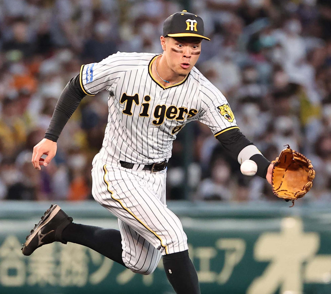 阪神対巨人　2回表巨人2死、佐藤輝は若林の三ゴロを軽快にさばく（撮影・上田博志）