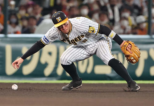 阪神対巨人　5回表巨人無死一塁、中田の打球をつかみ損ねる佐藤輝（撮影・上田博志）