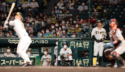 阪神対巨人　9回裏阪神2死、最後の打者近本の左邪飛の打球を見つめる矢野監督（後方中央）ら阪神ベンチ（撮影・狩俣裕三）