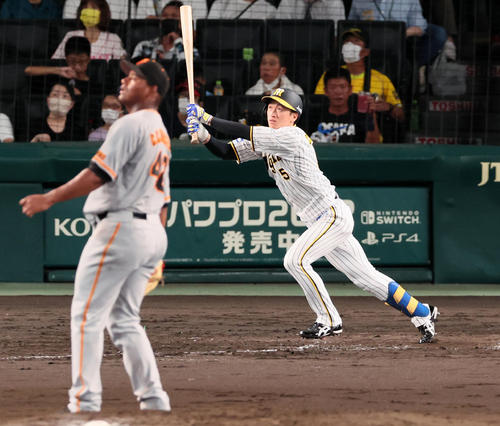 阪神対巨人　4回裏阪神1死、近本は右越えソロ本塁打を放つ。投手はメルセデス（撮影・加藤哉）