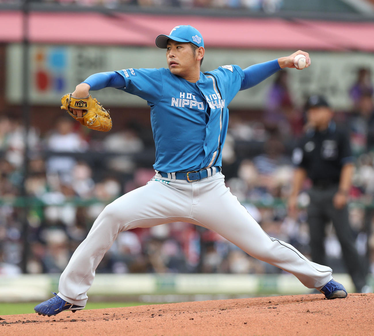 楽天対日本ハム　日本ハム先発の加藤（撮影・佐藤翔太）