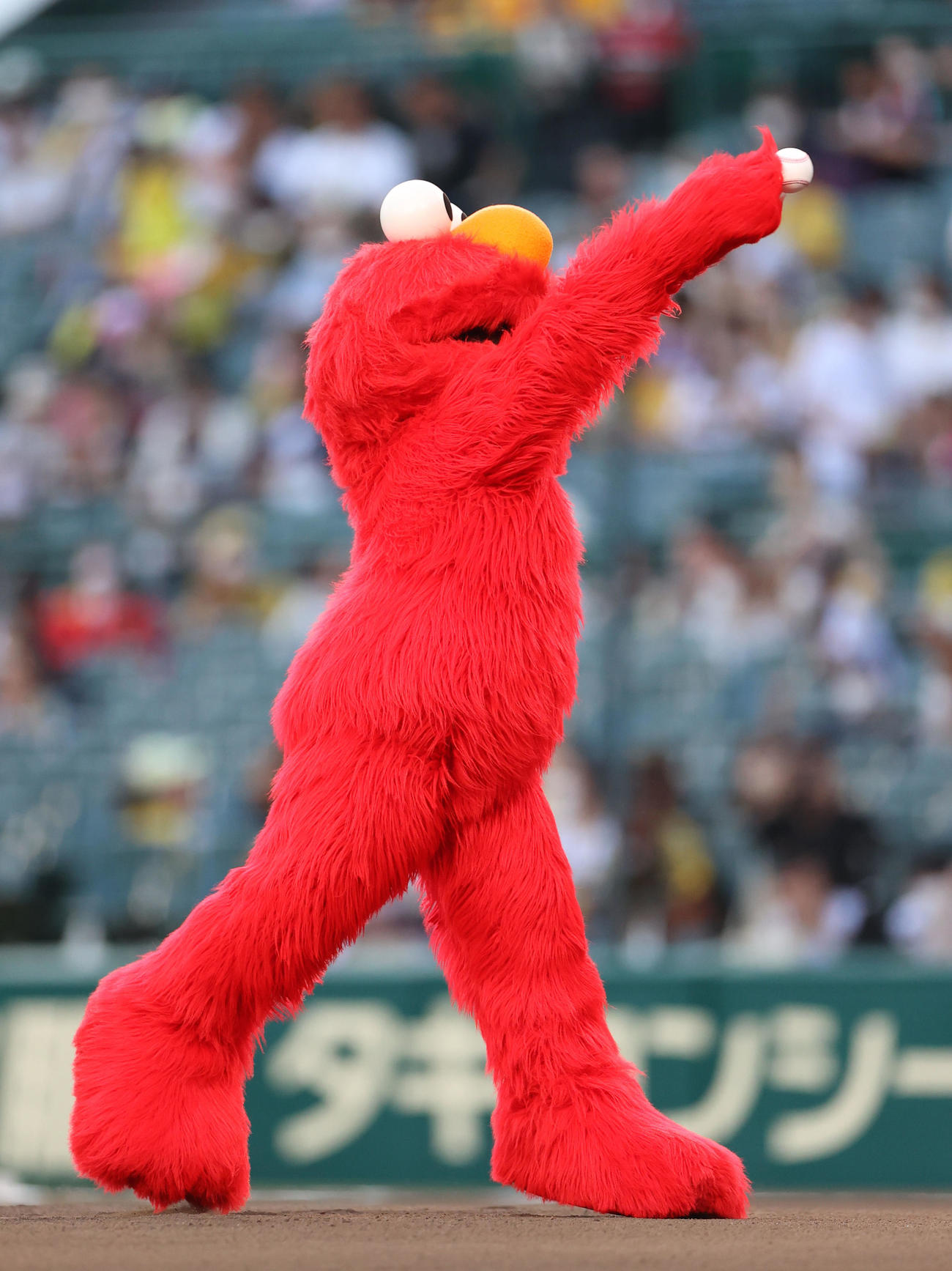 阪神対巨人　ファーストピッチセレモニーで投球するエルモ（撮影・狩俣裕三）