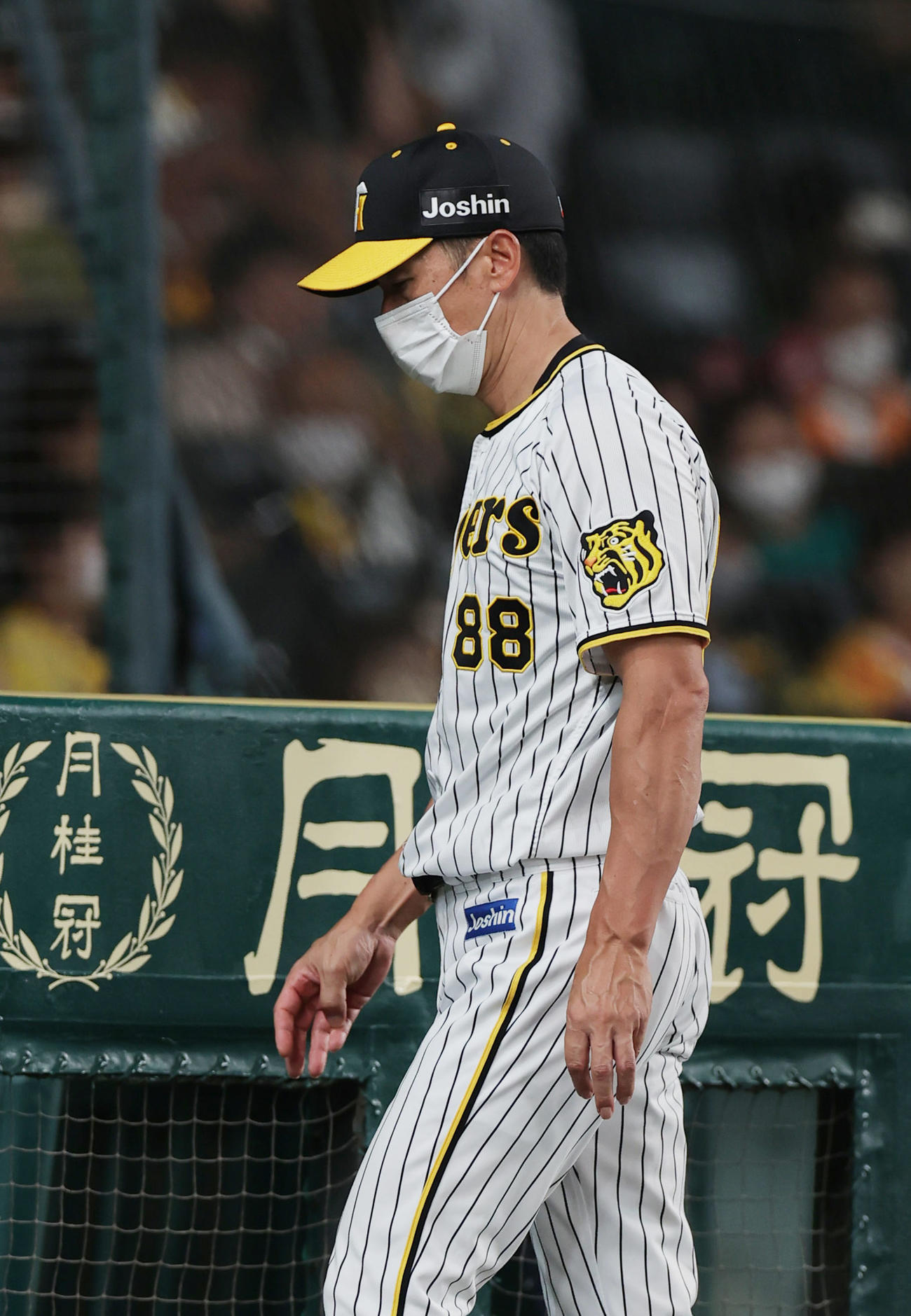 阪神対巨人　7回、選手交代を告げベンチへ戻る阪神矢野監督（撮影・前田充）