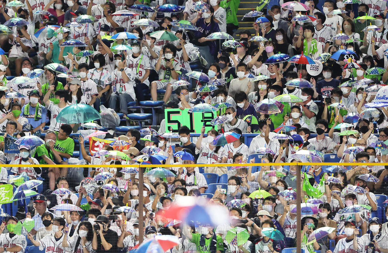 ヤクルト対中日　ヤクルト村上の51号本塁打のボードを掲げるファン（撮影・足立雅史）