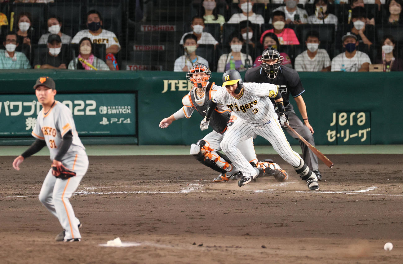阪神対巨人　4回裏阪神無死一塁、大山は遊ゴロ併殺倒れる。投手赤星（撮影・上山淳一）