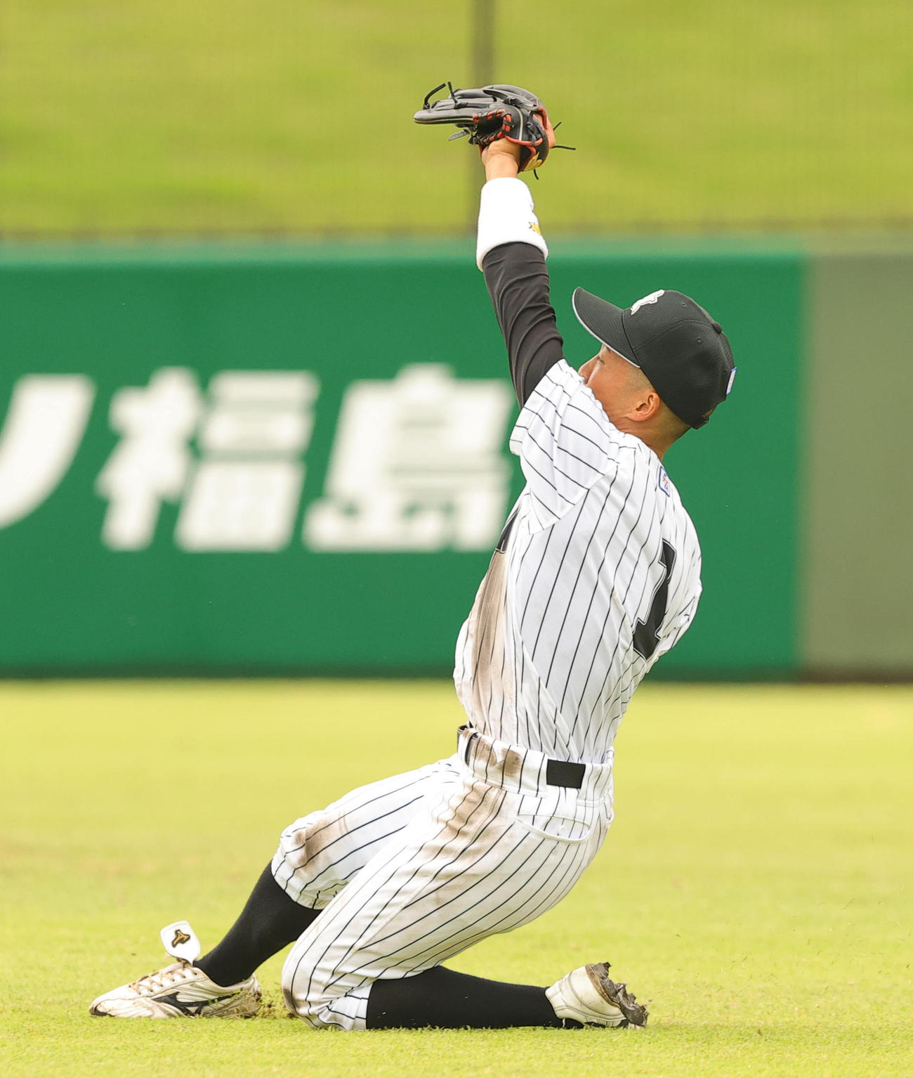 亜大対日大　6回裏日大1死、星の遊飛を好捕する田中幹（撮影・野上伸悟）