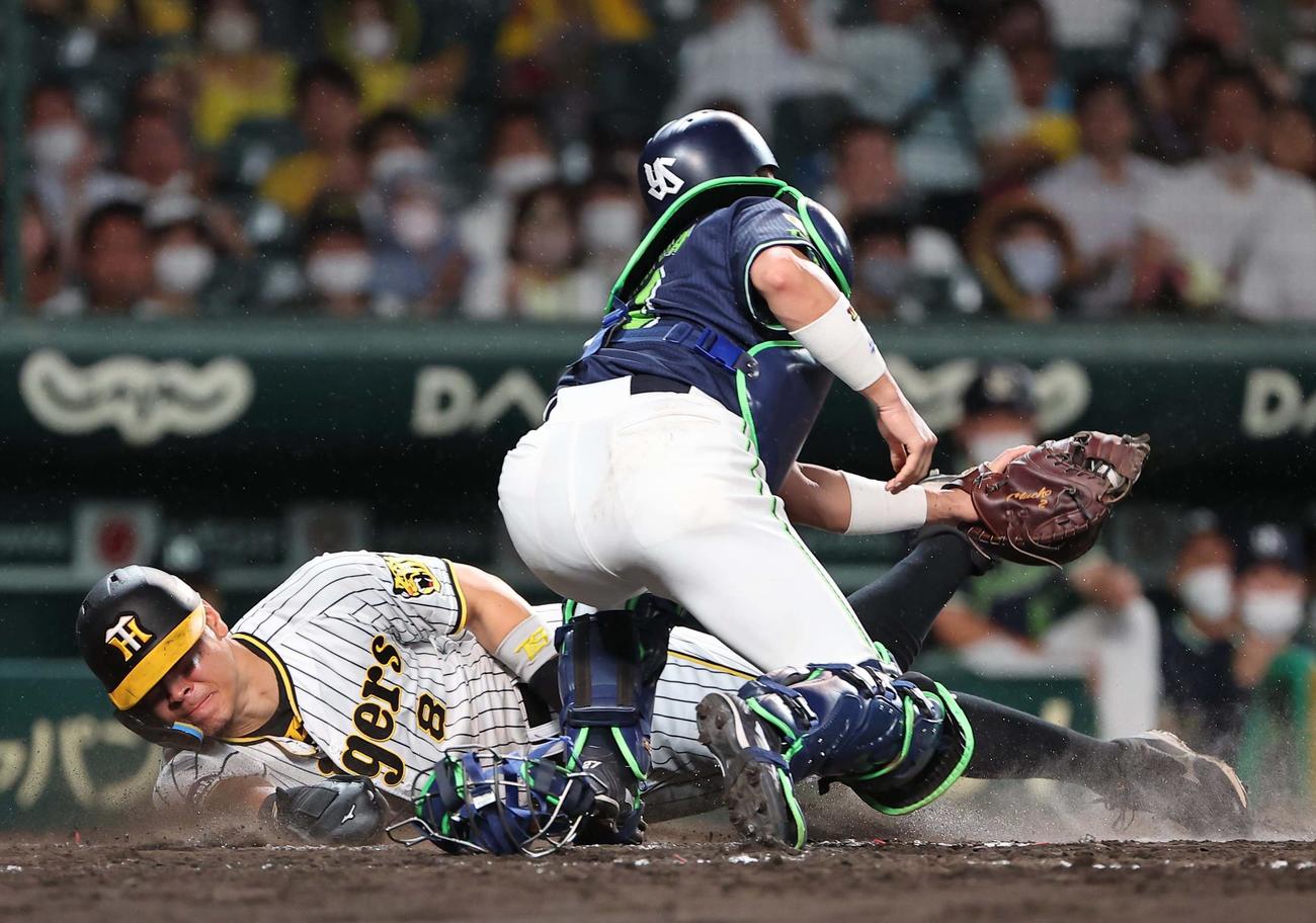 阪神対ヤクルト　4回裏阪神1死一、三塁、佐藤輝は坂本のスクイズで生還する（撮影・上田博志）