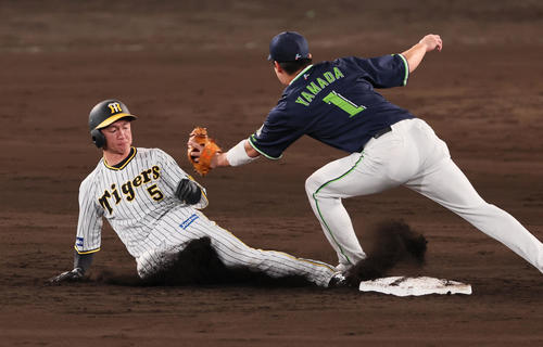 阪神対ヤクルト　7回裏阪神1死一塁、一塁走者近本は打者大山のとき二塁盗塁を決める。野手は山田（撮影・加藤哉）