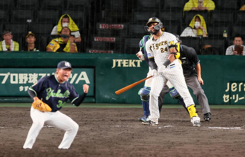 阪神対ヤクルト　11回裏神阪神2死一、二塁、ロハスは三振で試合終了。投手は田口（撮影・加藤哉）