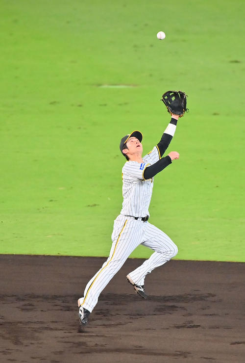 阪神対ヤクルト　3回表ヤクルト2死、石川の打球を好捕する遊撃手中野（撮影・和賀正仁）