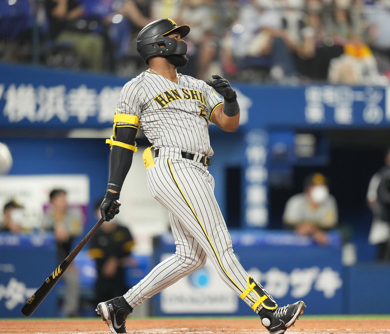 DeNA対阪神　8回表阪神2死満塁、中飛に倒れるロハス（撮影・鈴木みどり）