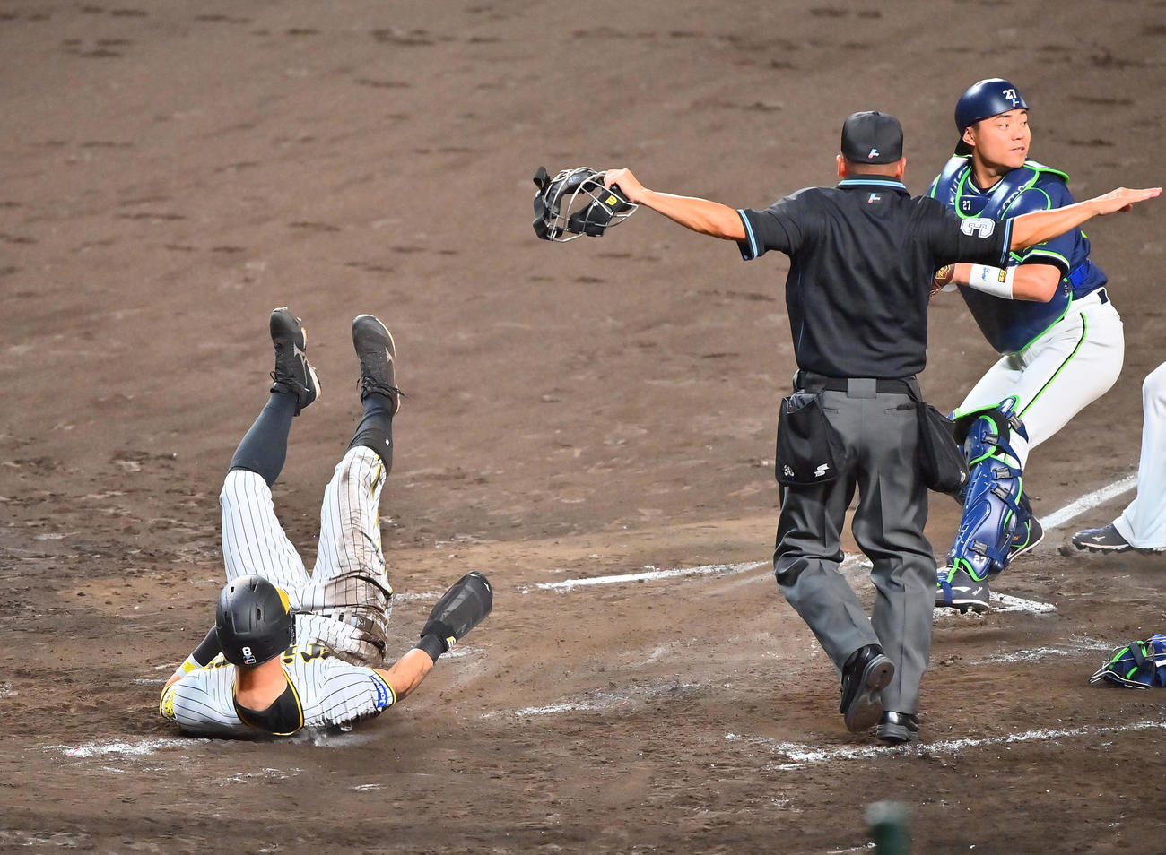 阪神対ヤクルト　4回裏阪神1死一、三塁、坂本の投前スクイズで生還する佐藤輝（撮影・和賀正仁）