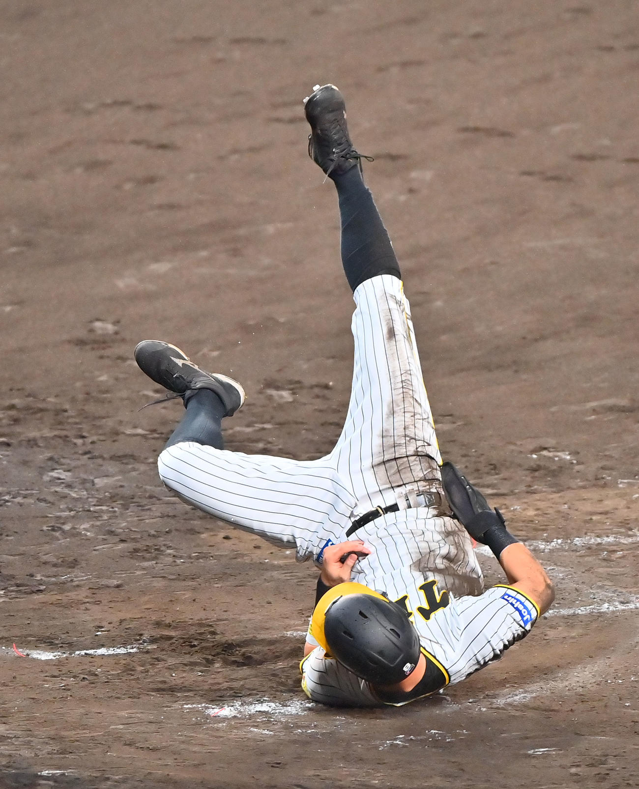 阪神対ヤクルト　4回裏阪神1死一、三塁、坂本の投前スクイズで生還する佐藤輝（撮影・和賀正仁）