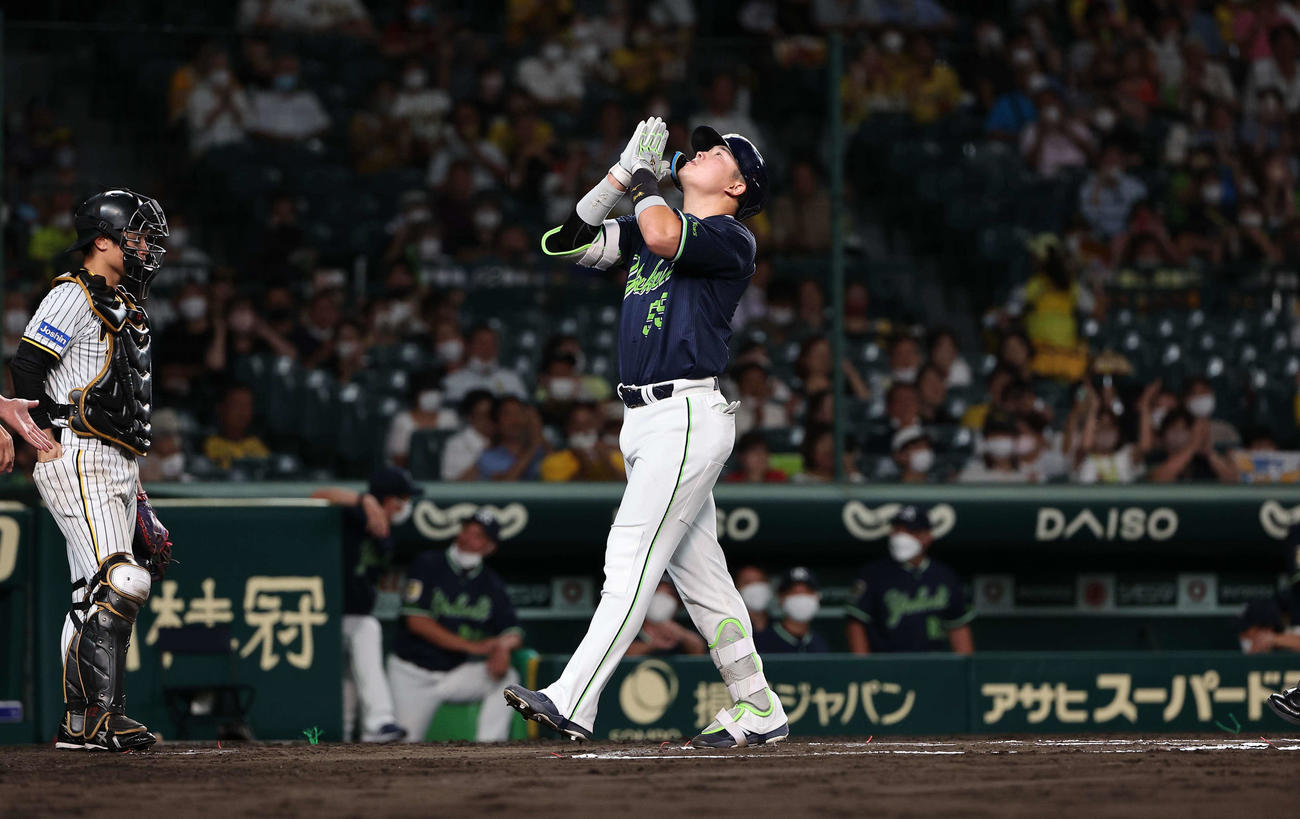 阪神対ヤクルト　6回表ヤクルト無死、52号本塁打を放った村上は手を合わせ生還する（撮影・上田博志）