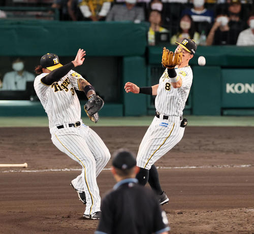 阪神対ヤクルト 6回表ヤクルト1死、代打浜田の飛球をお見合いしたマルテ(左)と佐藤輝はともに捕球出来ず二塁打となる(撮影・加藤哉)