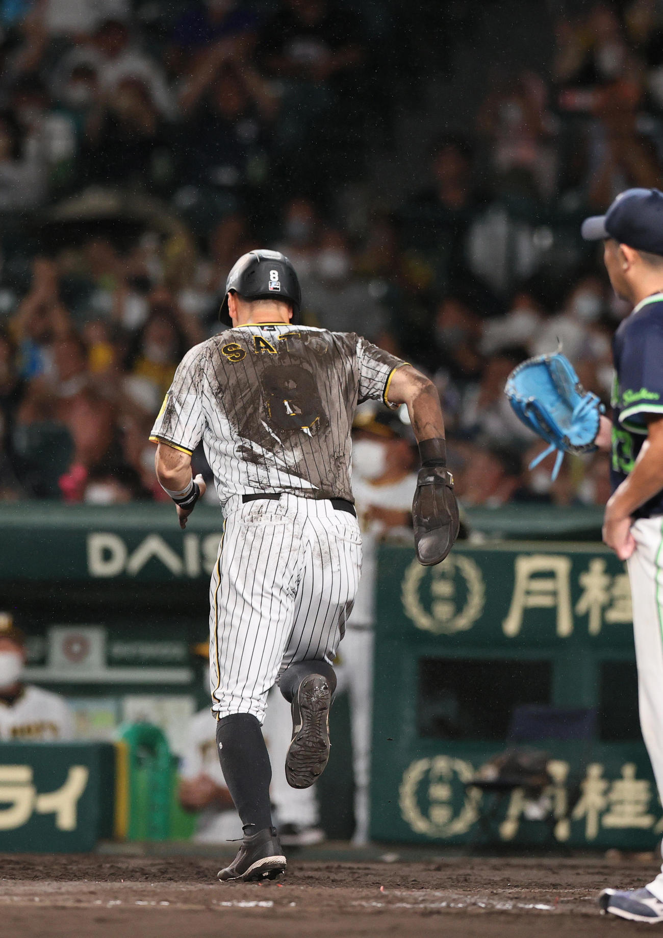 阪神対ヤクルト　4回裏阪神1死一、三塁、三走佐藤輝は坂本のスクイズで生還する（撮影・上山淳一）