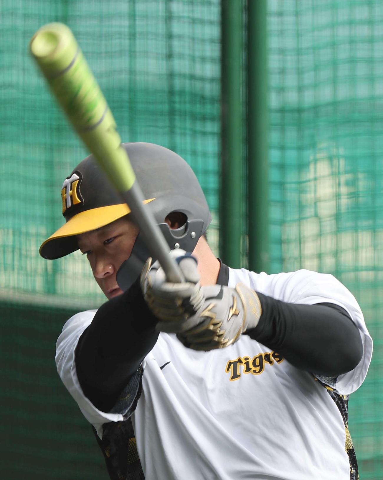 阪神対ヤクルト　打撃練習をする大山（撮影・上田博志）