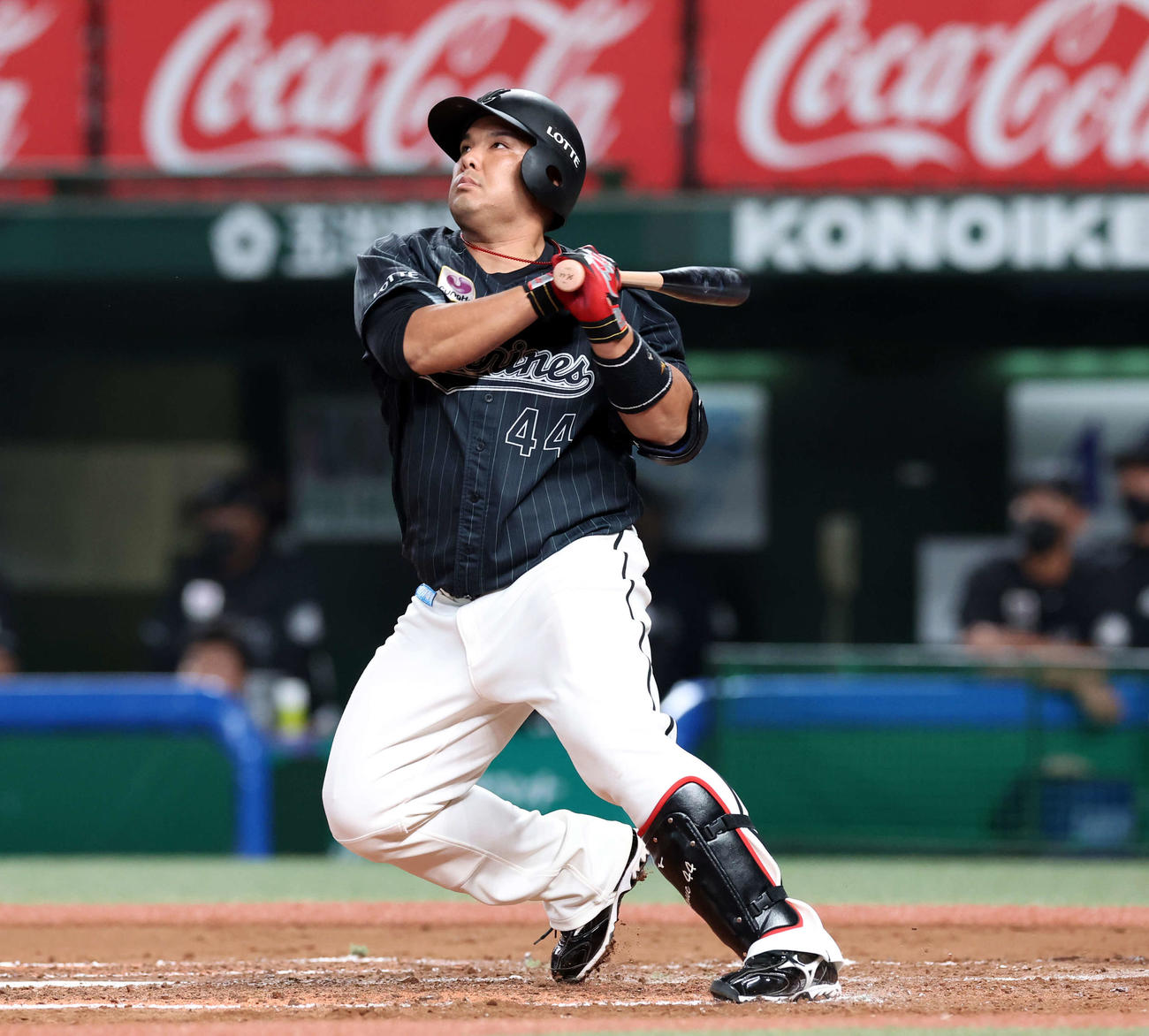 西武対ロッテ　3回表ロッテ2死、井上はソロ本塁打を放つ（撮影・浅見桂子）