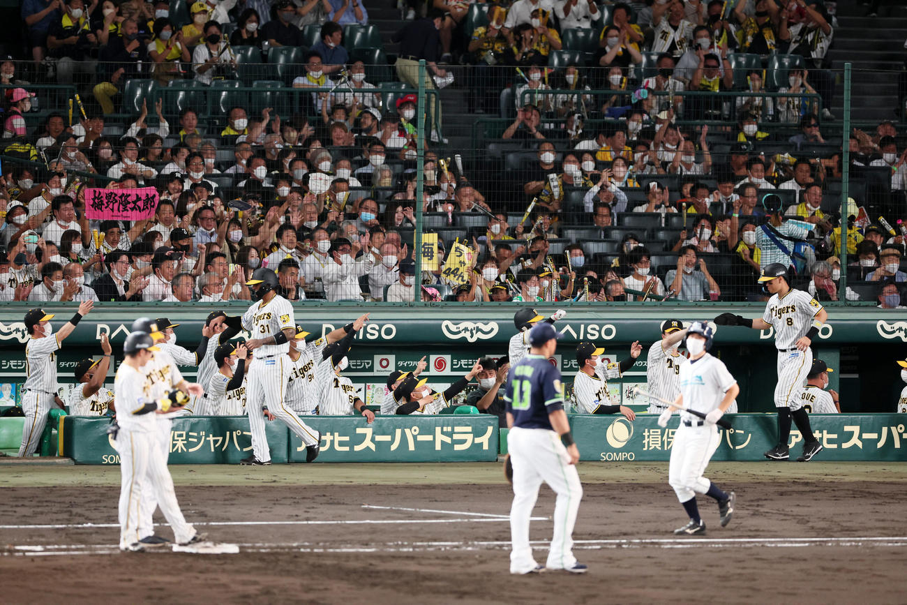 阪神対ヤクルト　4回裏阪神無死満塁、梅野の左前適時打でマルテ（中央）、佐藤輝（右）が生還しナインの出迎えを受ける（撮影・加藤哉）