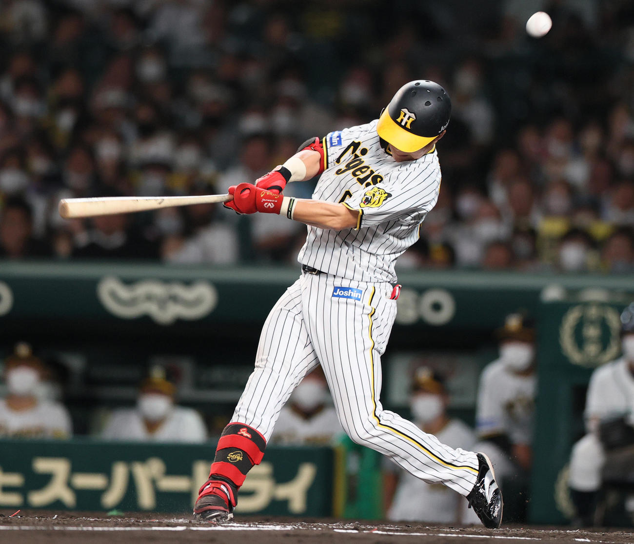 阪神対ヤクルト　4回裏阪神無死満塁、ファウルで粘る木浪（撮影・上山淳一）