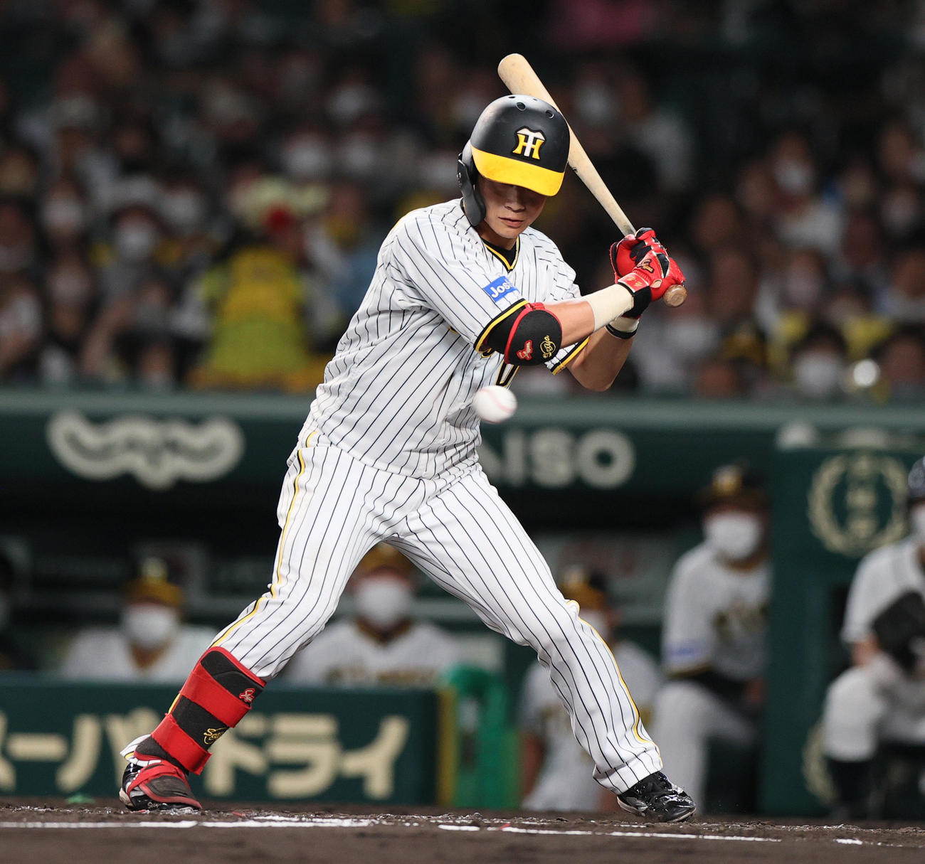 阪神対ヤクルト　4回裏阪神無死満塁、木浪は押し出し四球を選ぶ（撮影・上山淳一）