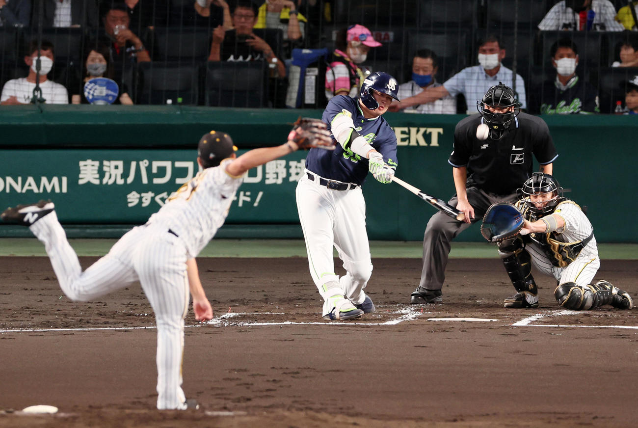 阪神対ヤクルト　2回表ヤクルト無死、村上は遊飛を打ち上げる。投手は伊藤将（撮影・加藤哉）