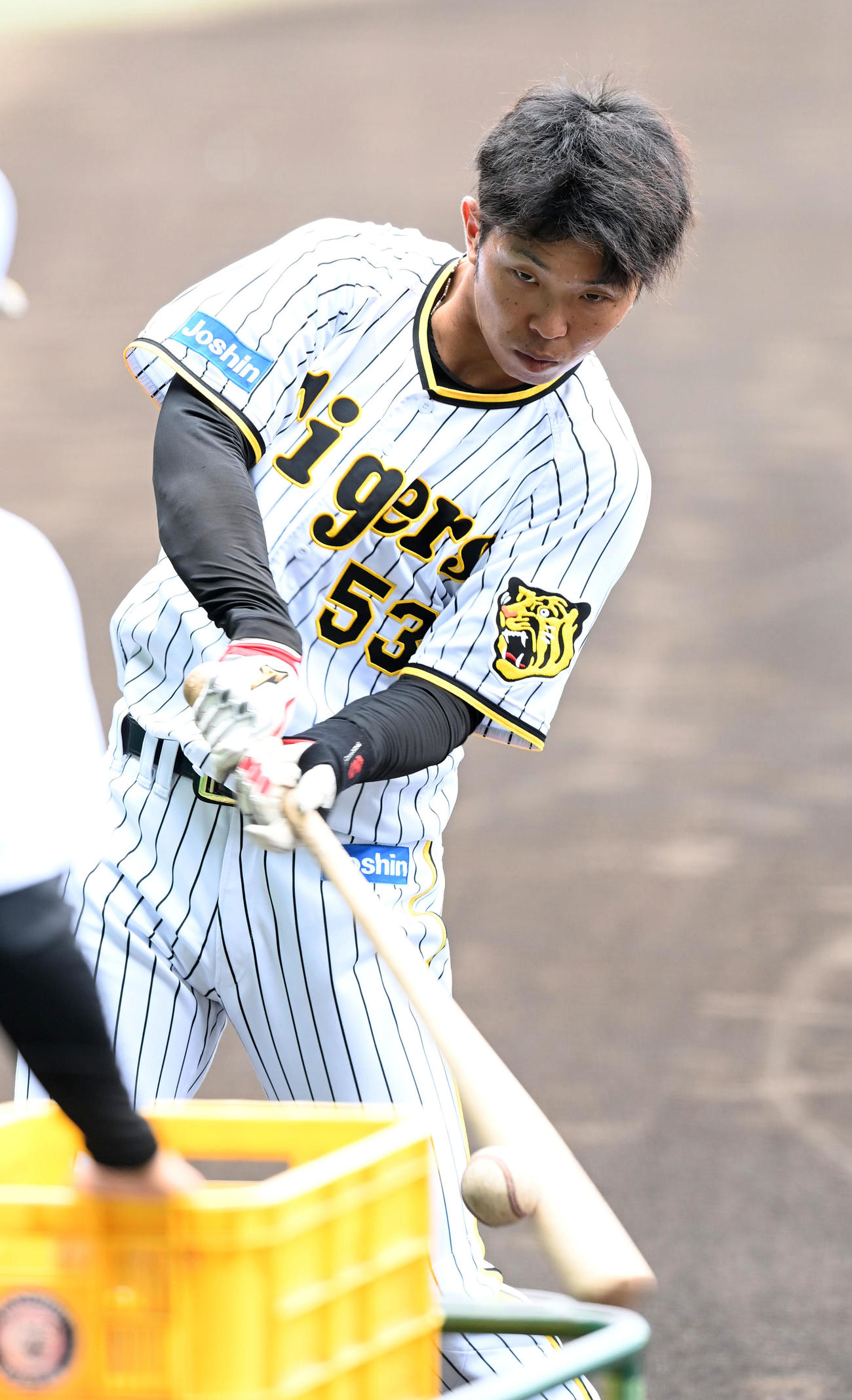 ティー打撃を行う島田（撮影・前岡正明）