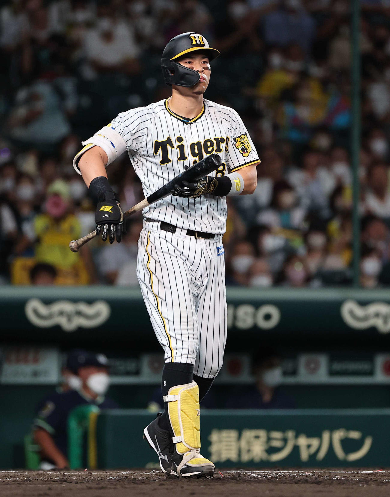 阪神佐藤輝明（2022年9月7日撮影）
