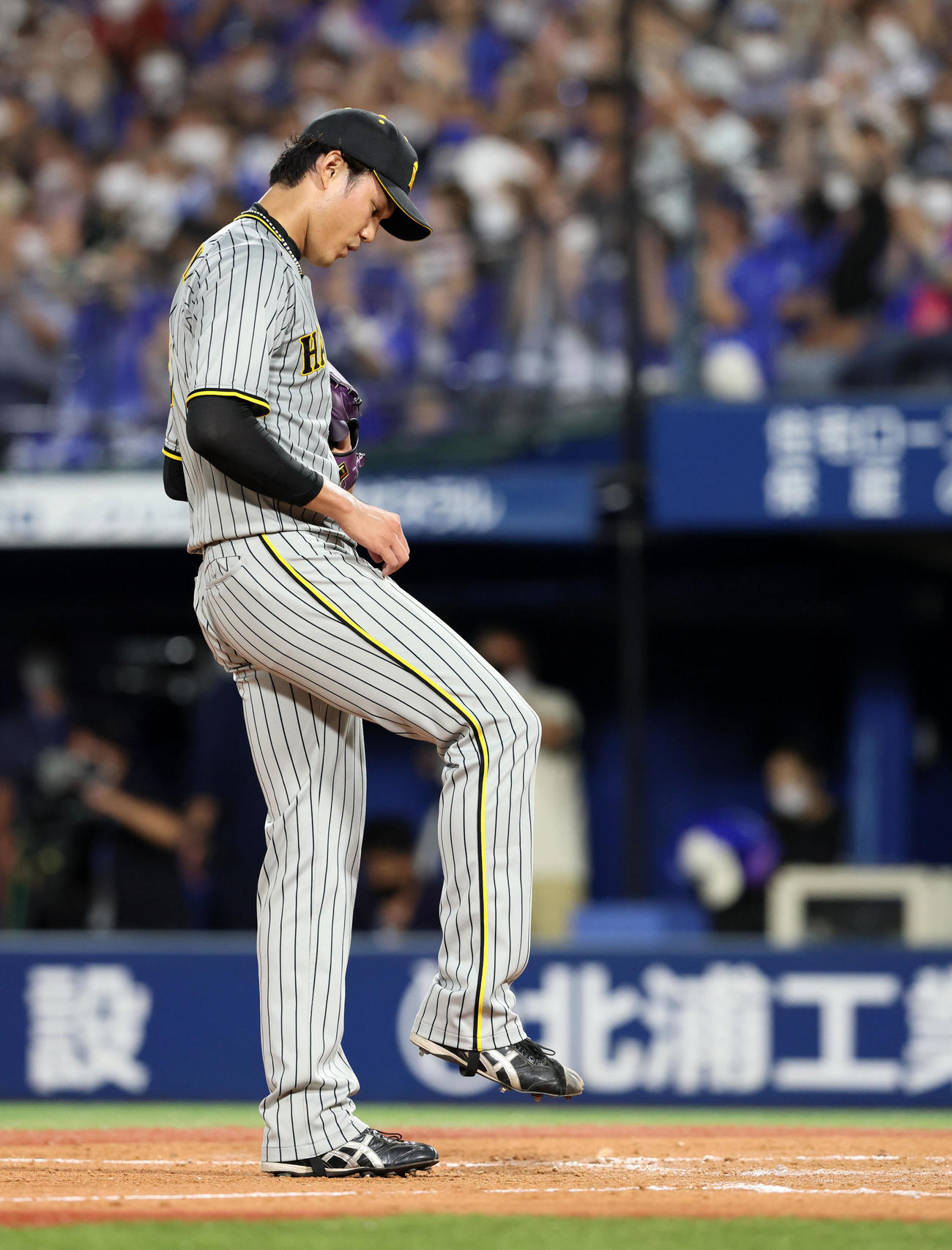 DeNA対阪神　5回裏DeNA1死三塁、藤浪は代打オースティンのとき2個目の暴投でさらに失点（撮影・加藤哉）