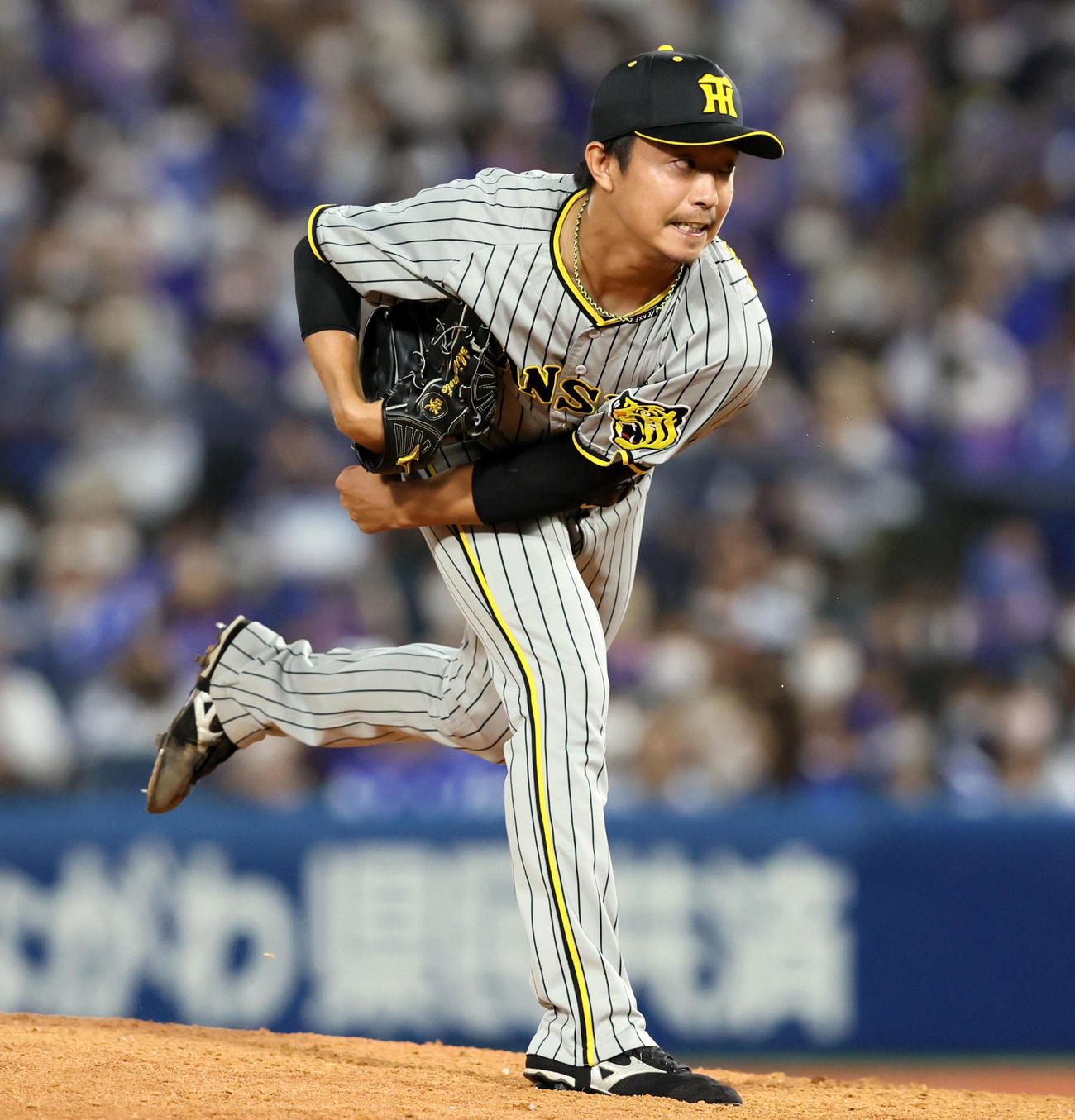 DeNA対阪神　6回裏、阪神3番手で登板する島本（撮影・加藤哉）