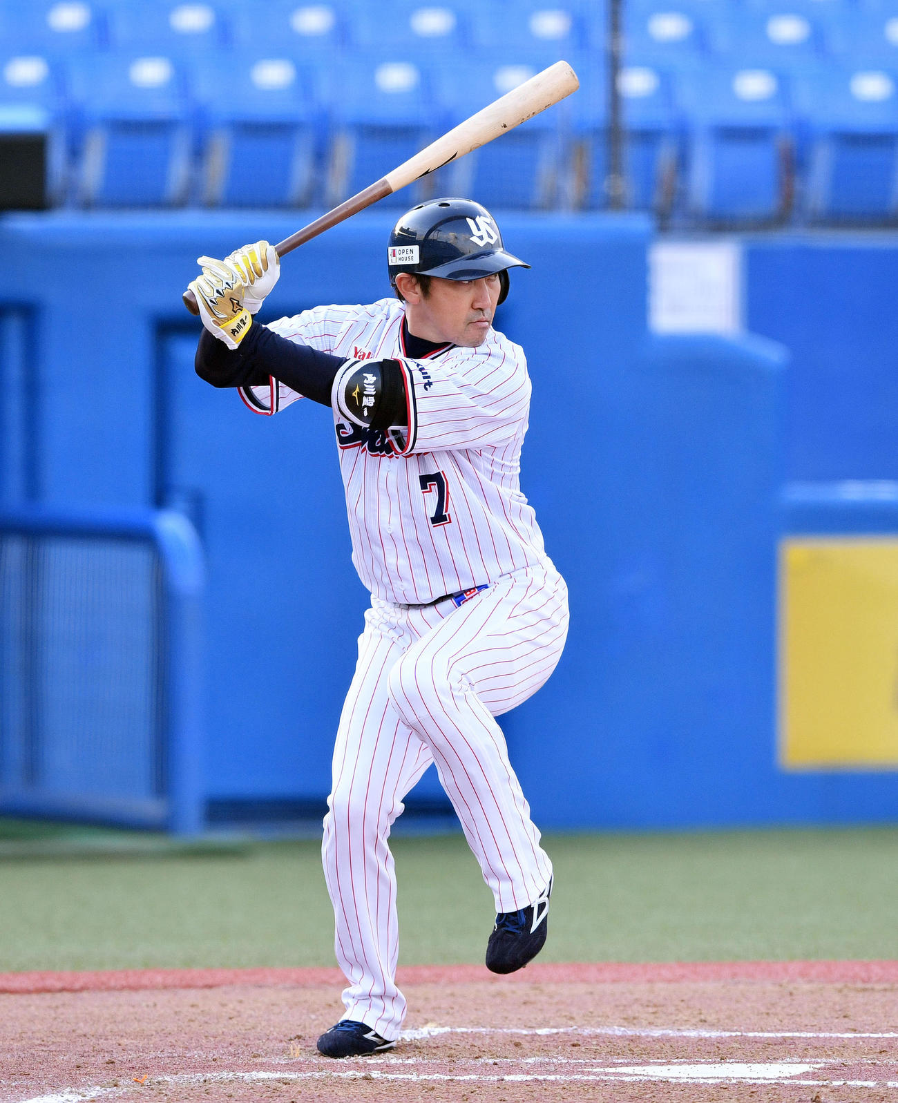 ヤクルト内川聖一（2021年11月16日撮影）