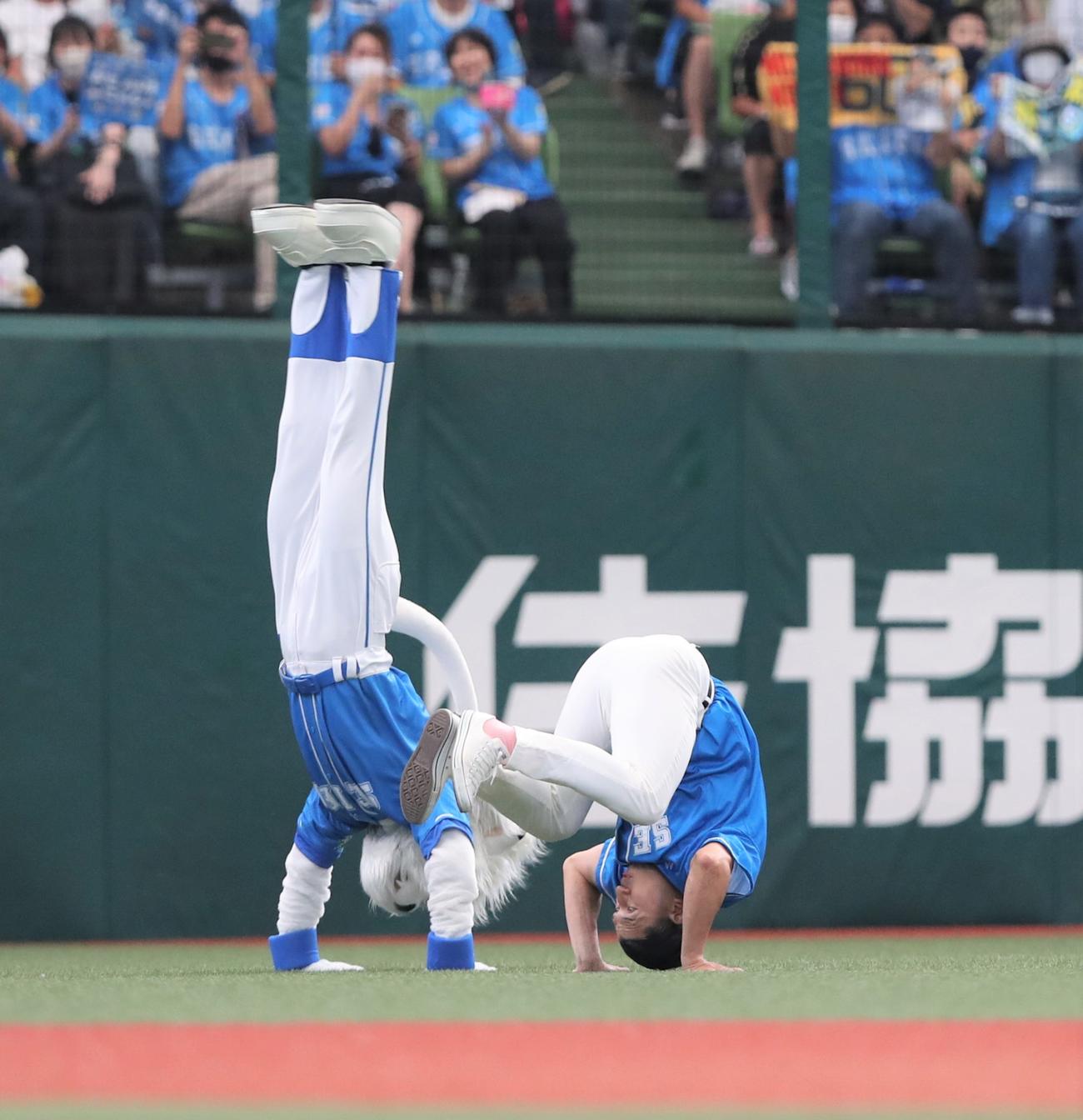 西武対日本ハム　レオと一緒に後転する春日（撮影・黒川智章）