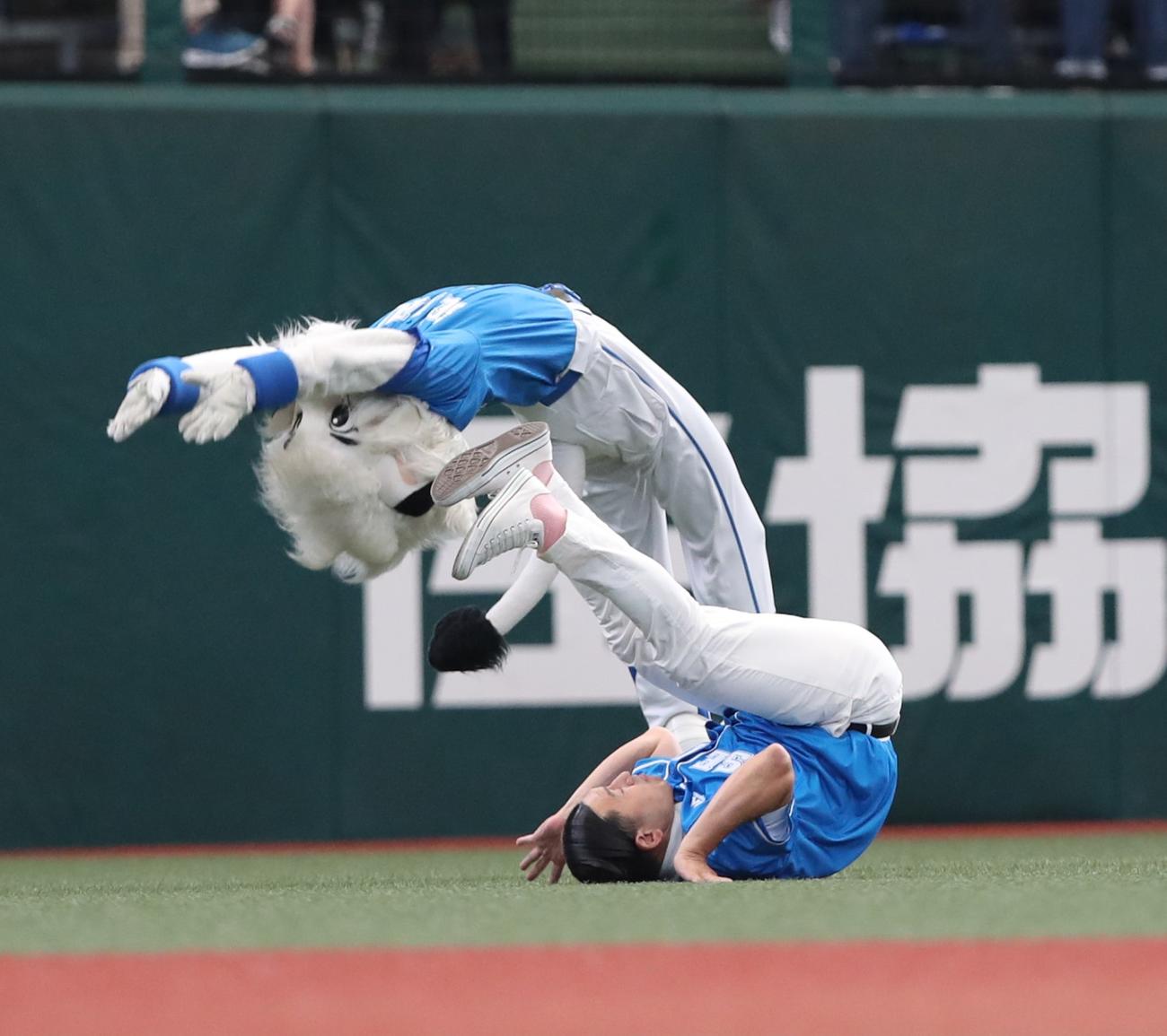 西武対日本ハム　レオと一緒に後転する春日（撮影・黒川智章）
