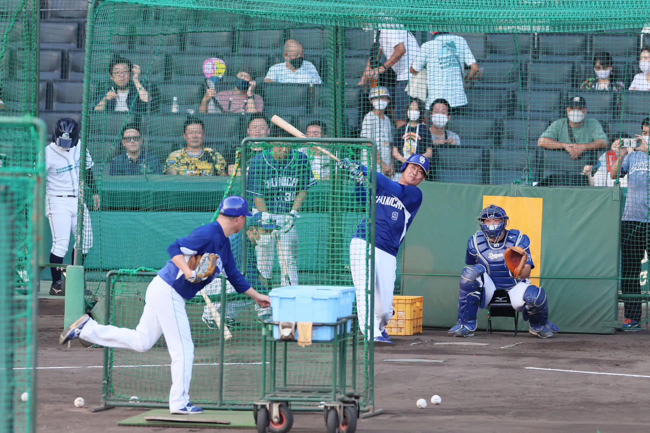 阪神対中日　打撃練習する福留（撮影・加藤哉）