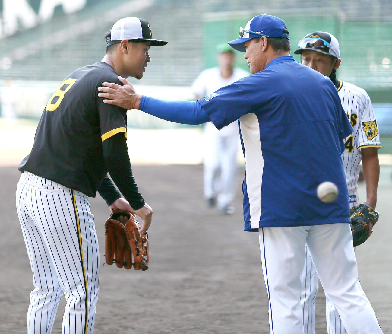 阪神対中日　阪神佐藤輝（左）は中日福留にあいさつする（撮影・上山淳一）