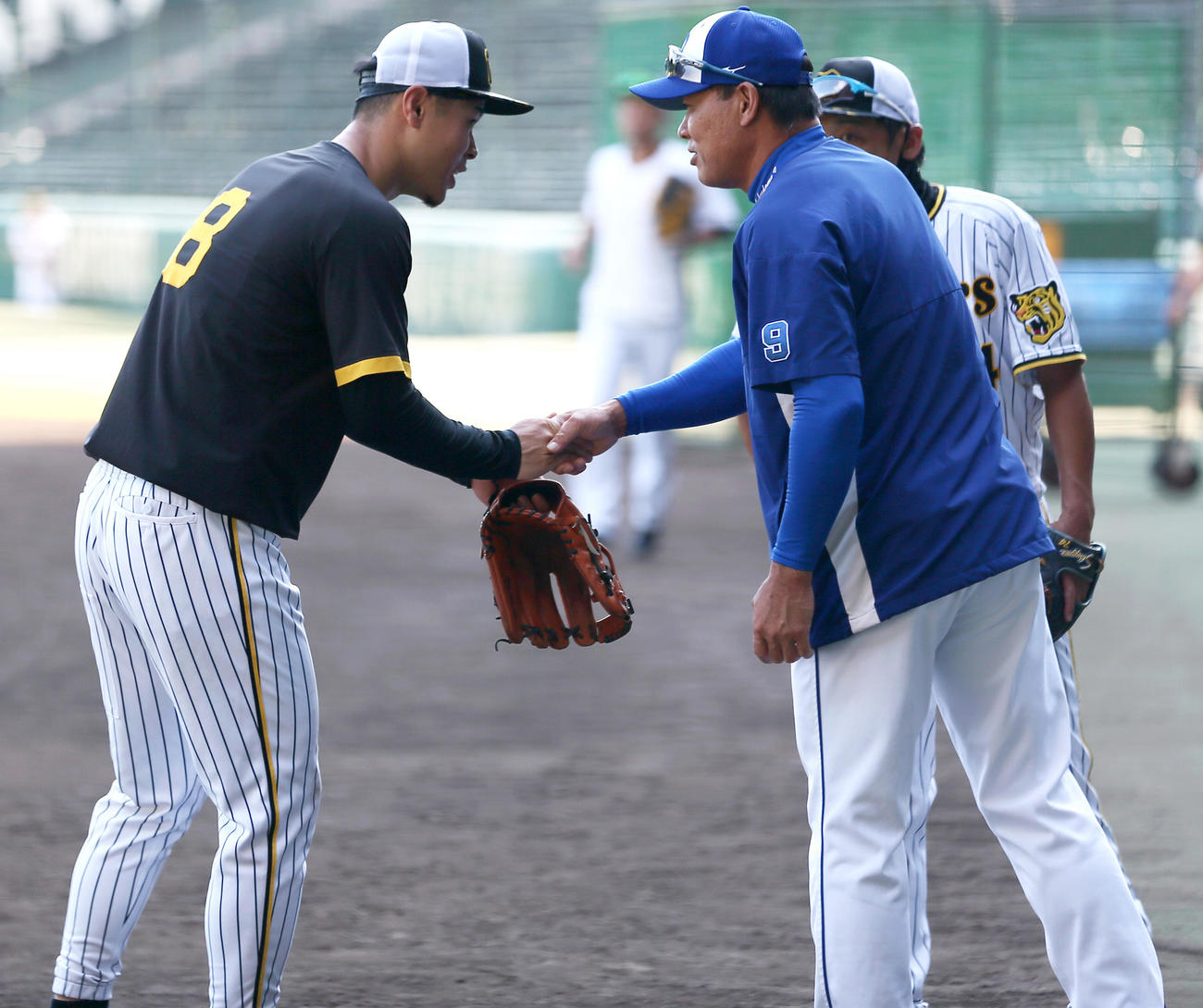 阪神対中日　試合前、阪神佐藤輝（左）は中日福留にあいさつする（撮影・上山淳一）