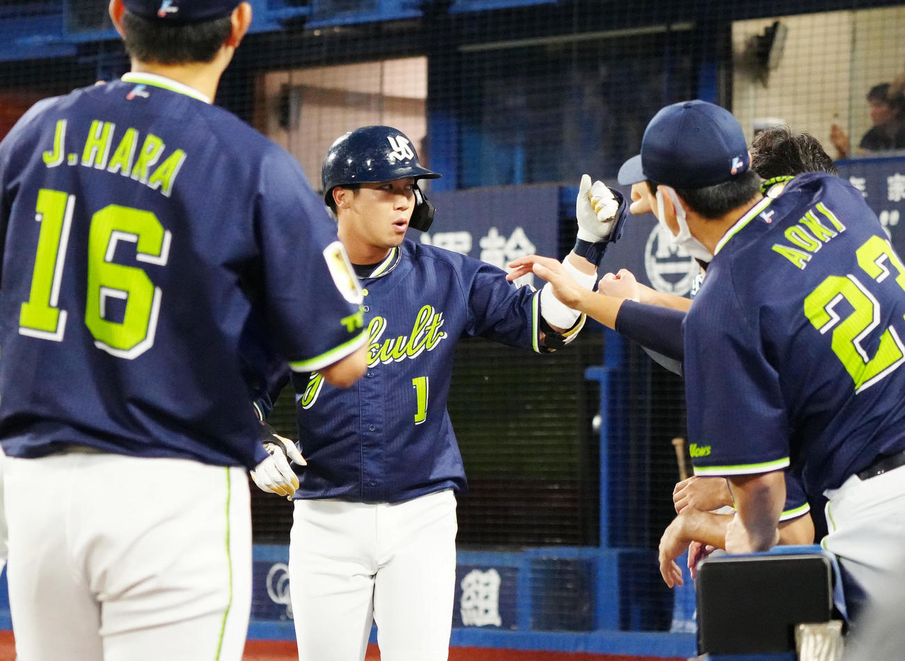 DeNA対ヤクルト　1回表ヤクルト2死、先制ソロ本塁打を放ち、ベンチ前で祝福される山田（中央）（撮影・江口和貴）