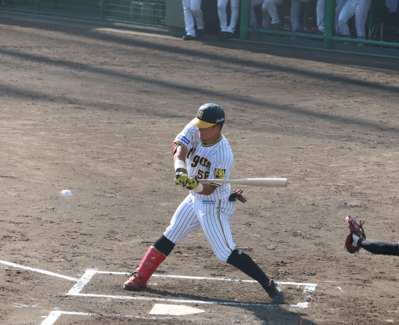 ソフトバンク3軍との練習試合で6回に代打で出場し、実戦復帰した阪神前川