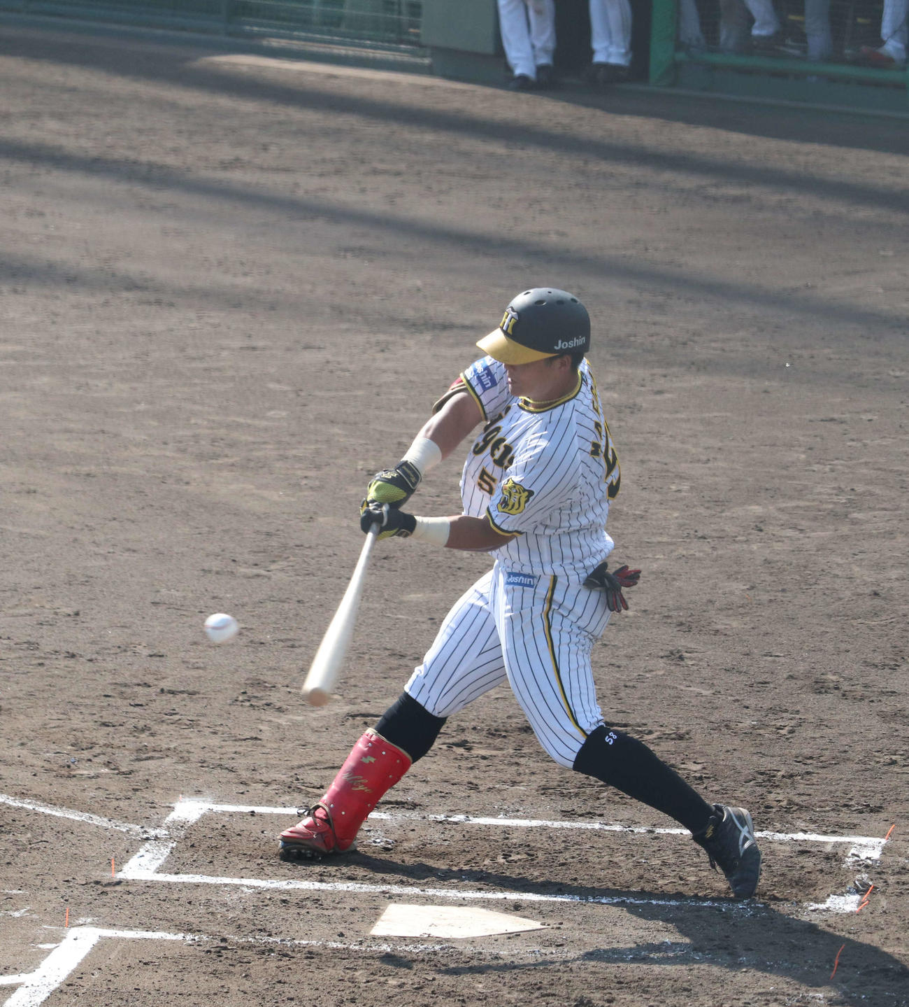 ソフトバンク3軍との練習試合で6回に代打で出場し、実戦復帰した阪神前川