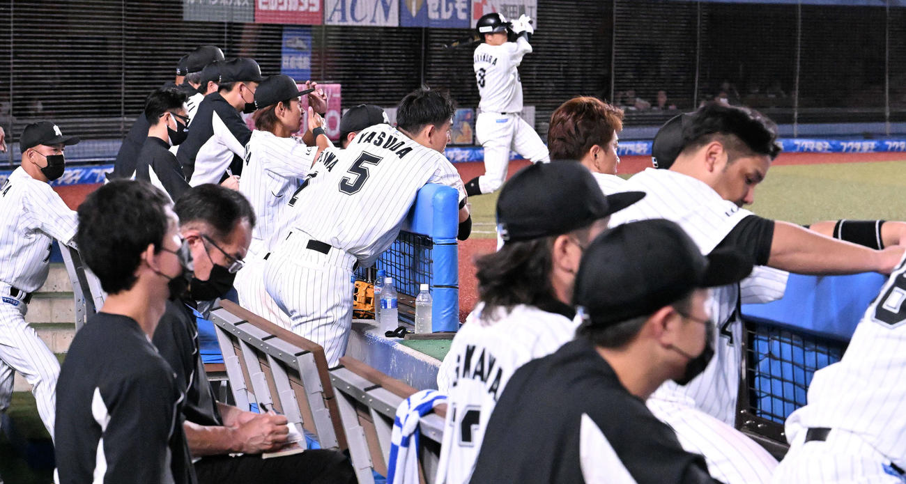 ロッテ対日本ハム　9回、ベンチから戦況を見つめるロッテの選手たち（撮影・滝沢徹郎）